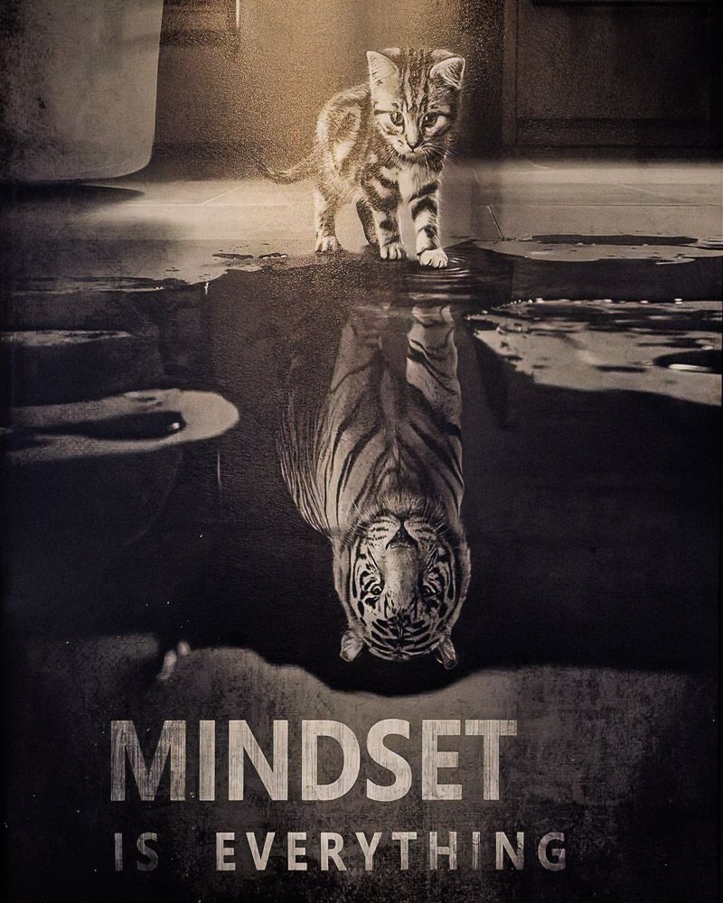 Exclusive Fitness Training Equipment 