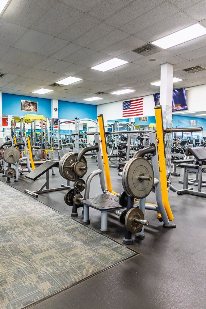 Exclusive Fitness Training Equipment 