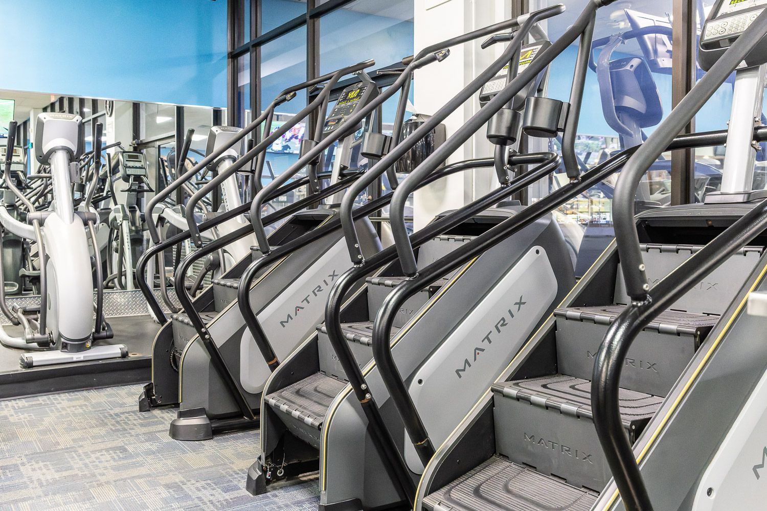 Exclusive Fitness Training Equipment 