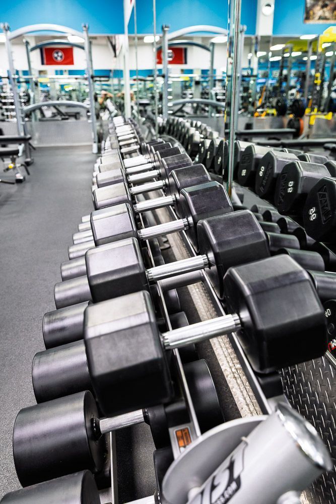 Exclusive Fitness Training Equipment 