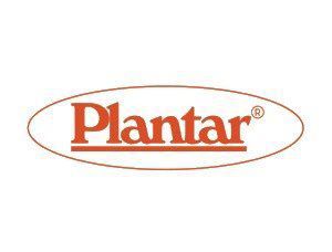 Plantar