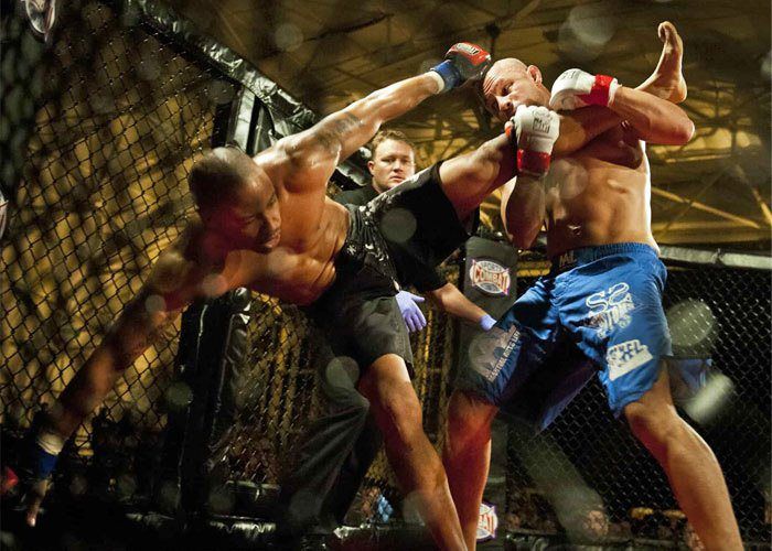 Mixed Martial Arts (MMA)