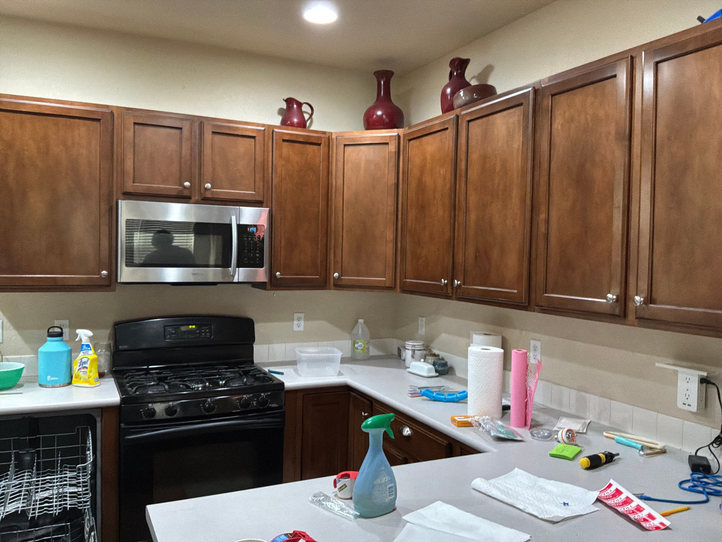 Professional Painting