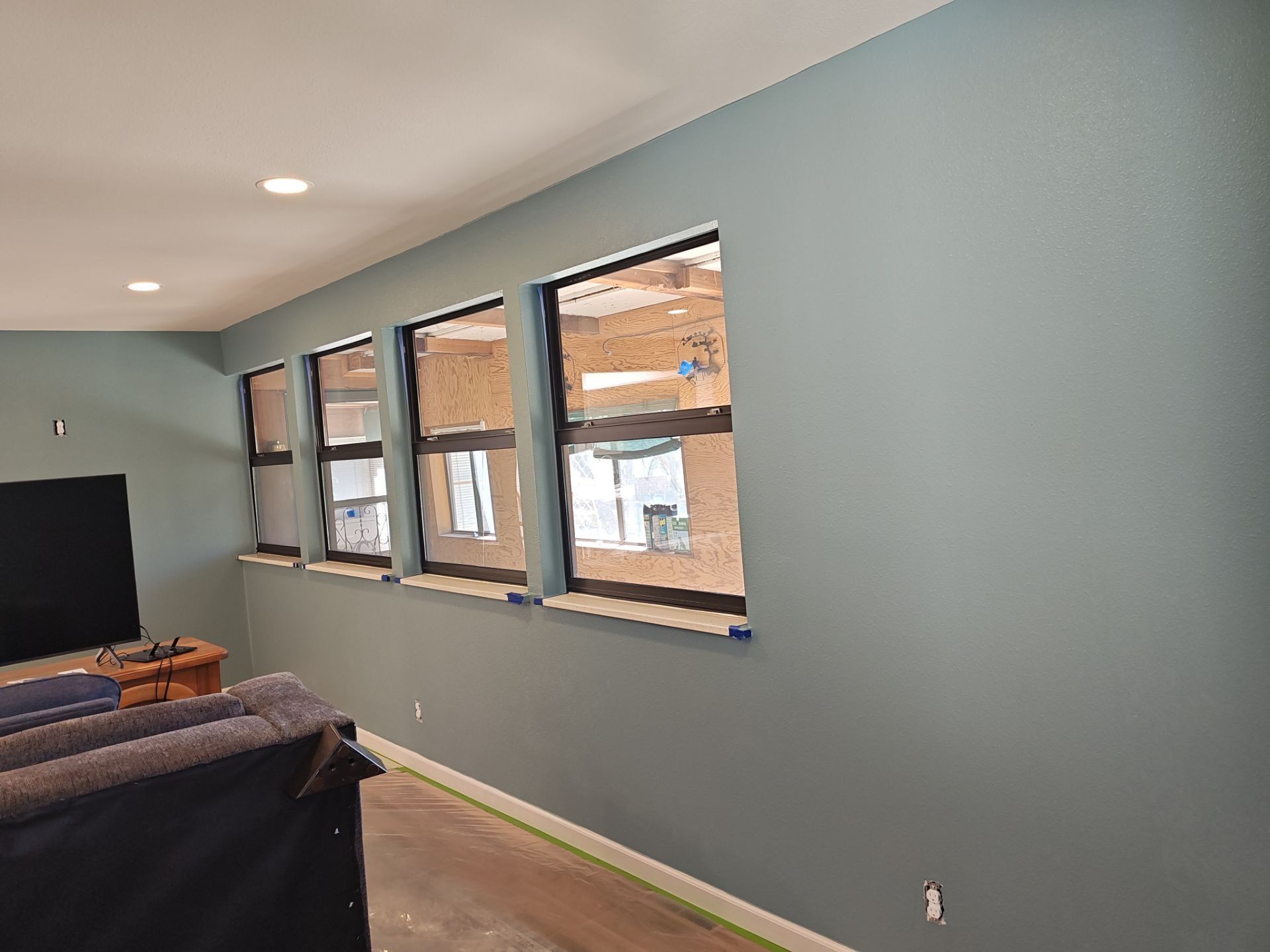 Professional Painting