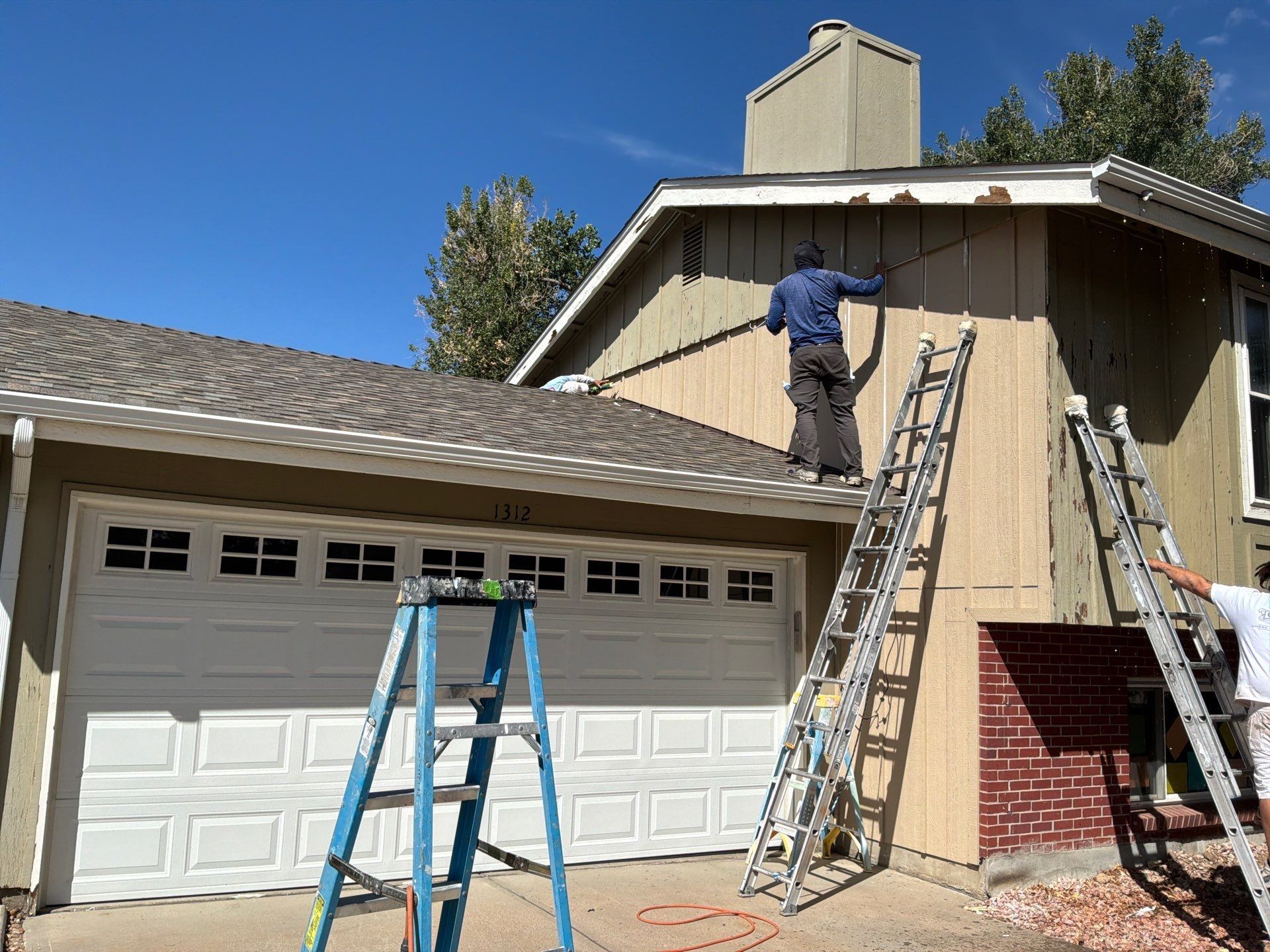 Professional Painting