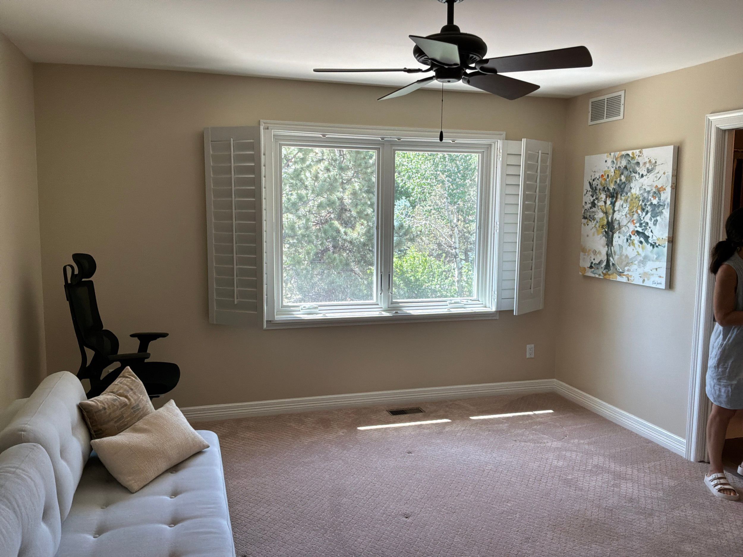 Professional Painting