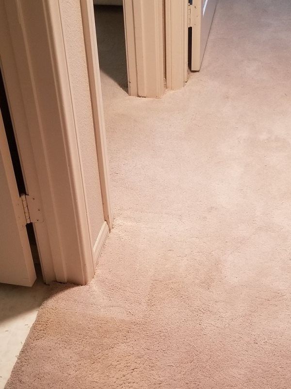 carpet cleaning