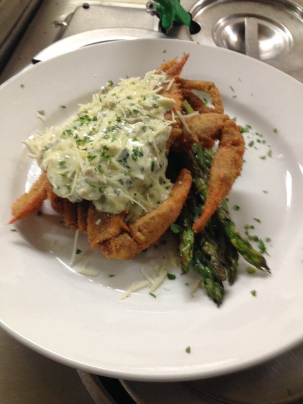 Steamboat Warehouse Softshell Cypremort