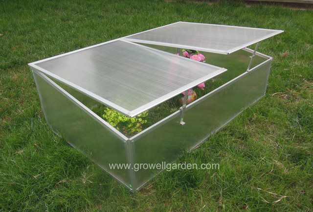 Cold frame