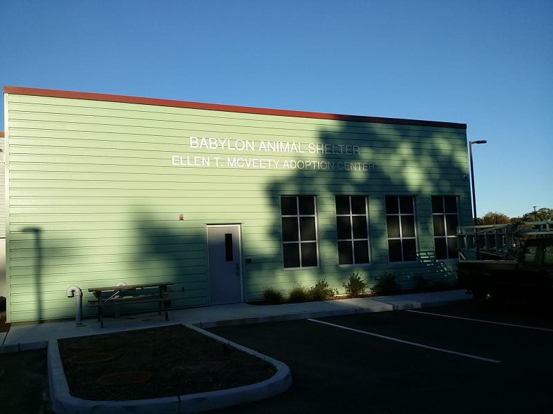 A sleek vinyl channel letter sign with a glossy finish and LED lighting, mounted on a modern commercial building.
The vinyl channel letter sign combines the sleek look of vinyl with the durability of channel letters, offering businesses in New York a