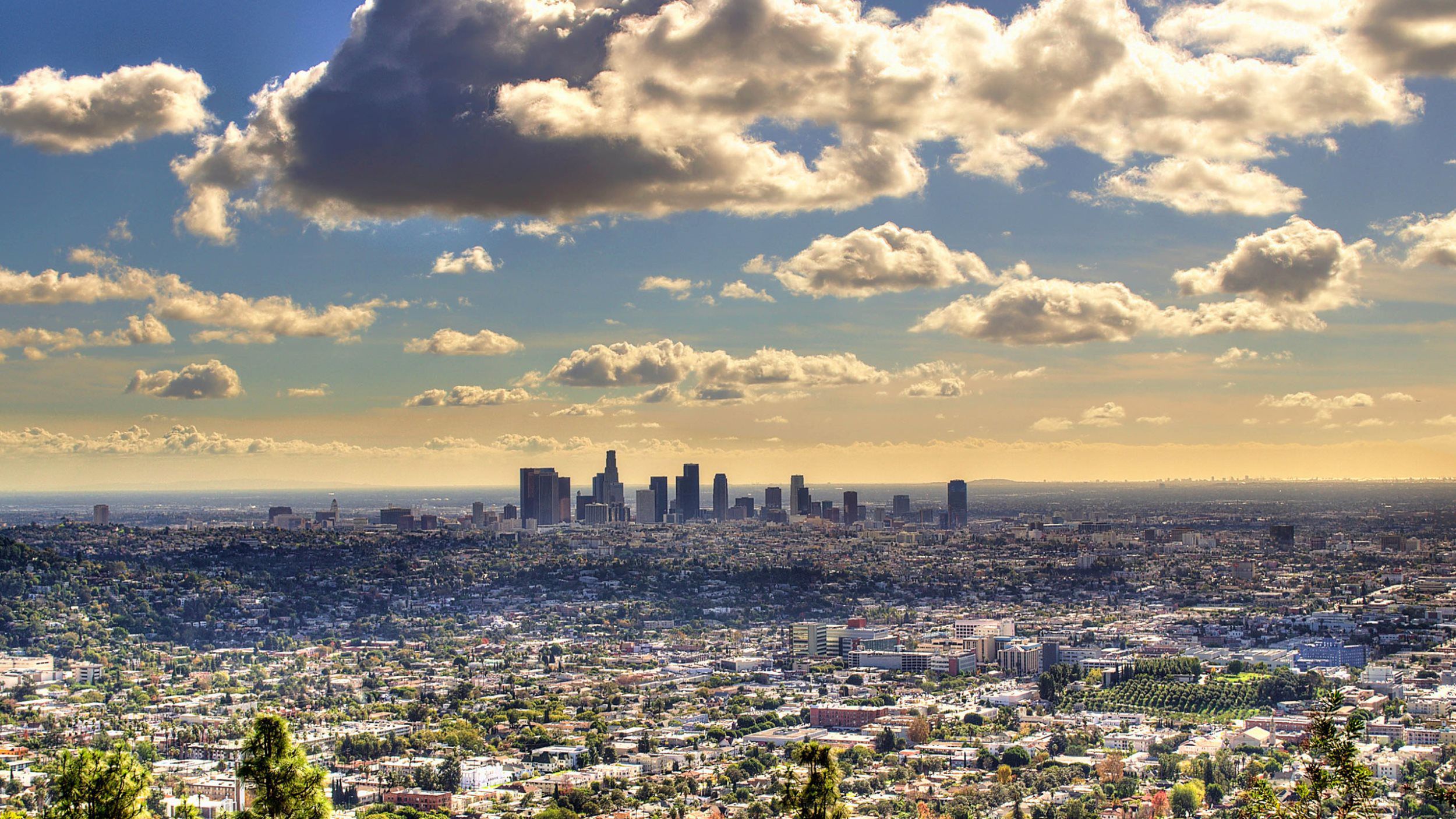 los angeles city tour video