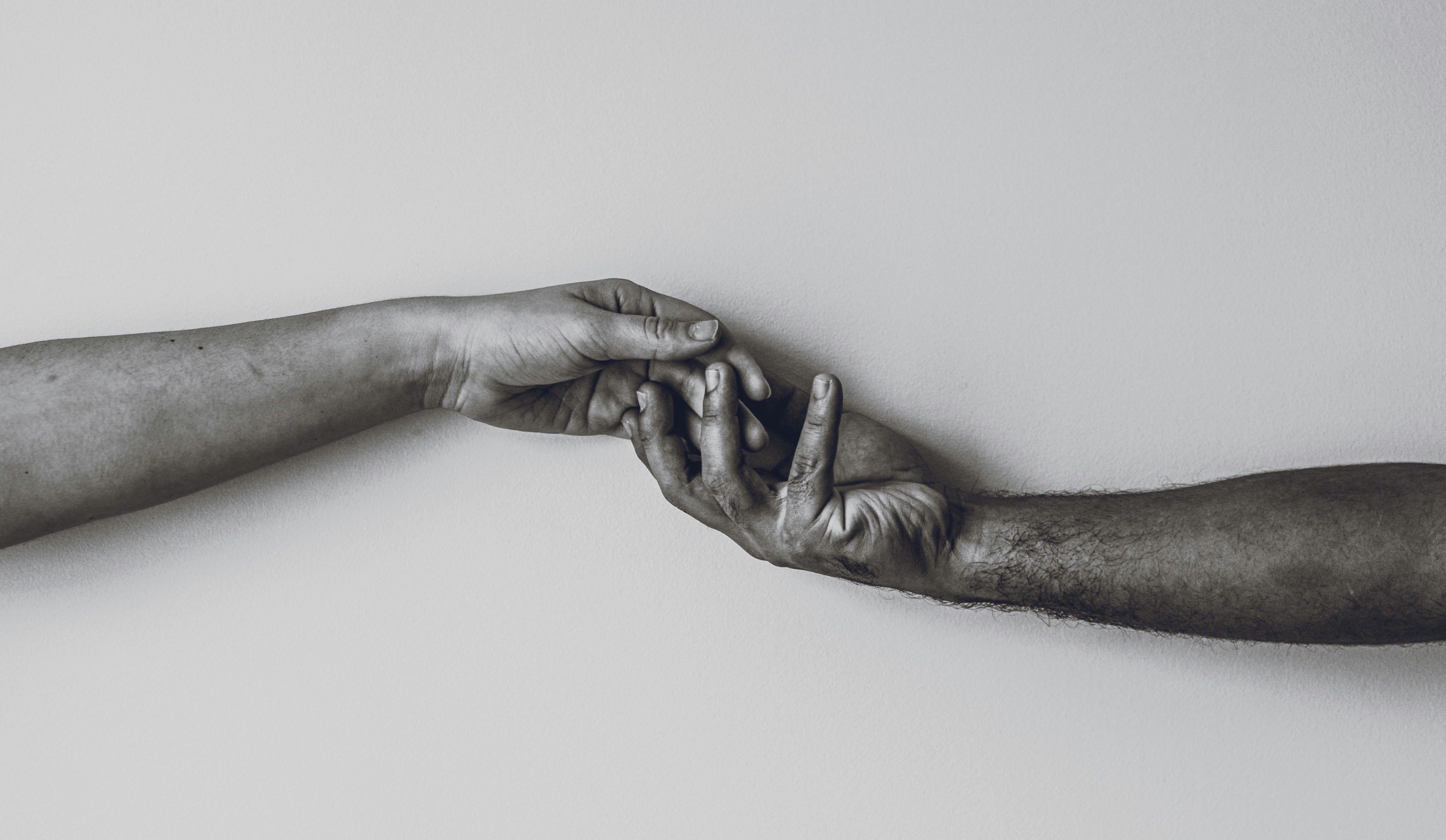 temp-post-image temp-post-image