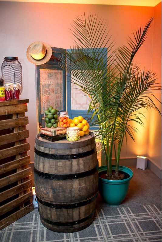 hayatt havana nights