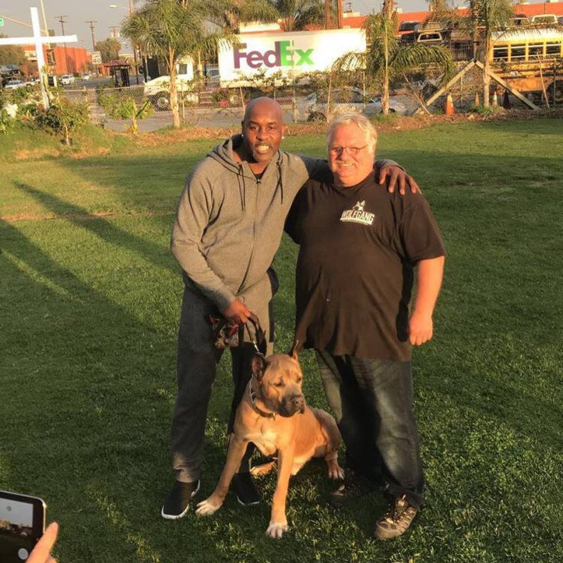 K9 Dog Training Services in California German K9 Expert Wolfgang