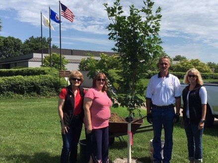 StCloud Chamber anniversary Tree