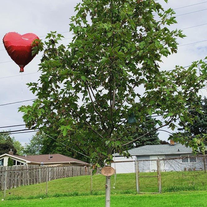 tree dedication backyard