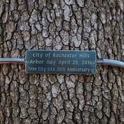 ARBOR DAY