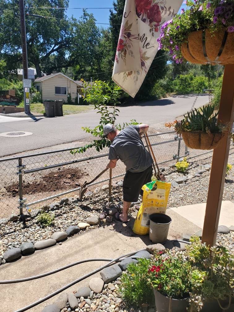 son plants tree to honor Mom