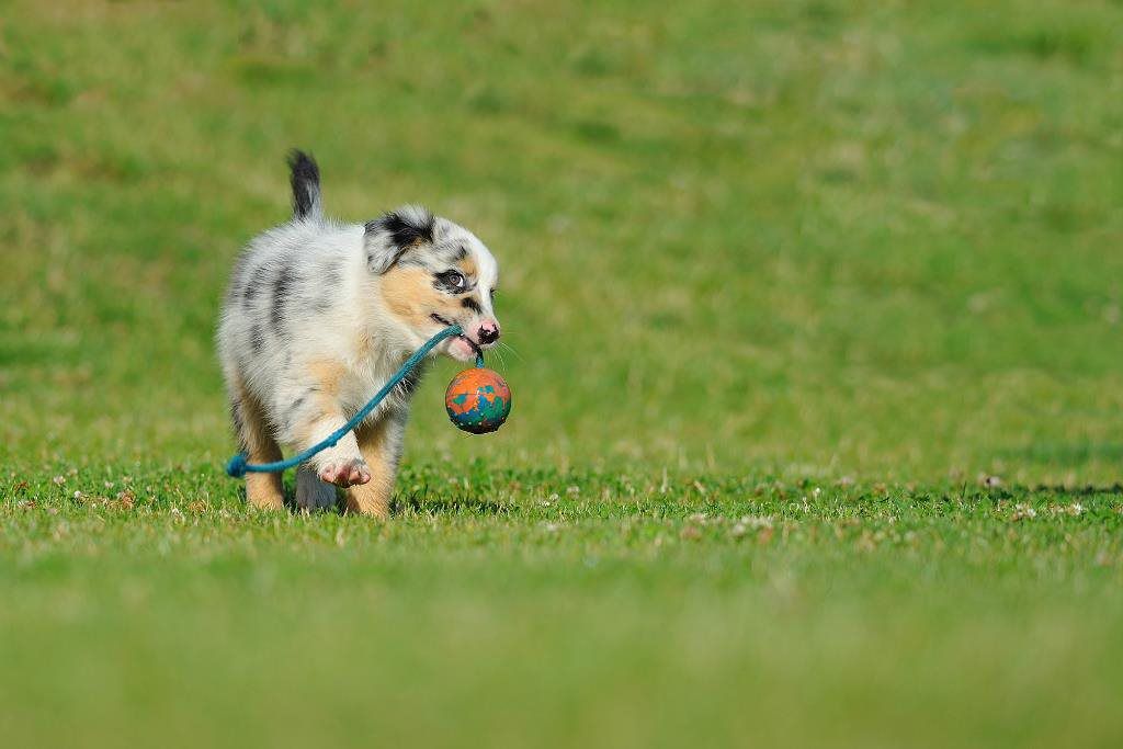 Square & Locking Stations