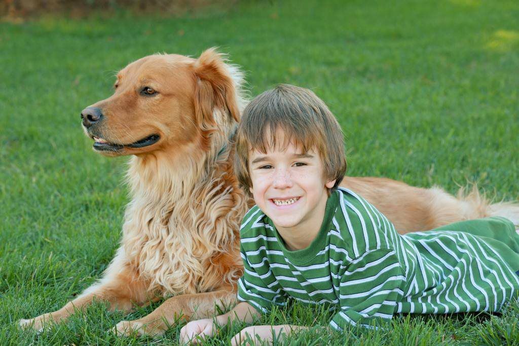 Dangers Of Pet Waste