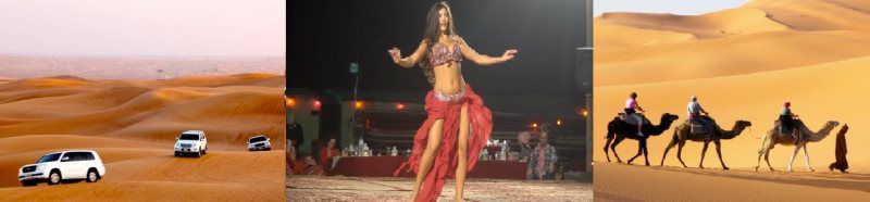 Desert Safari with BBQ Dinner