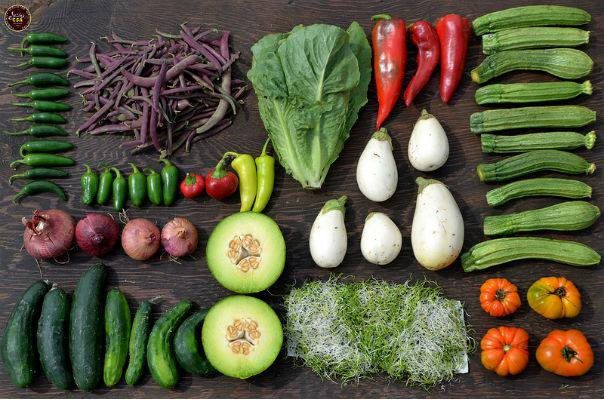 Juice Fasting Retreat