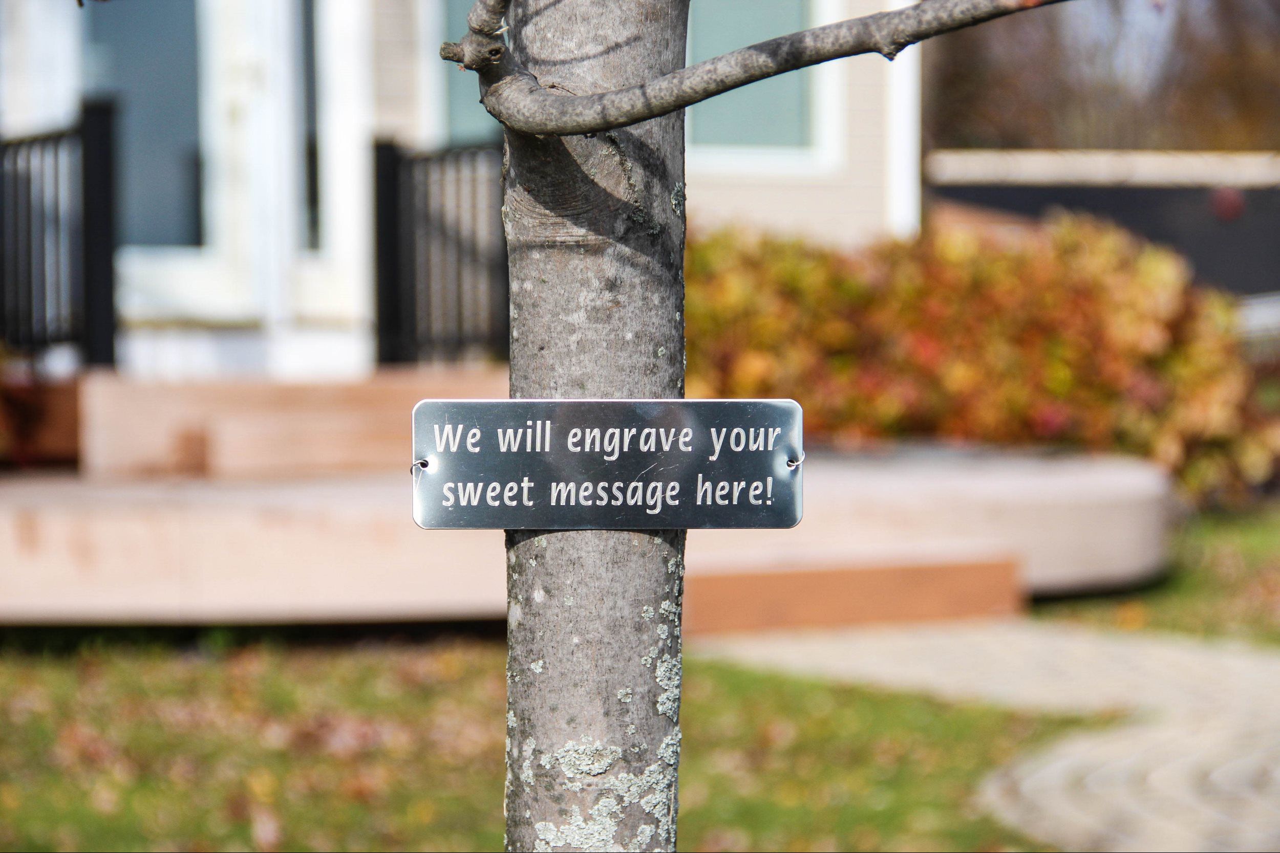 Message in tree