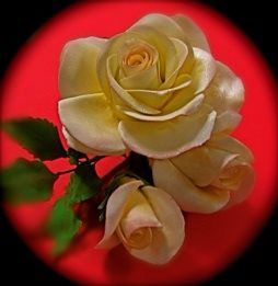 Gum Paste Roses