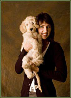 About Our Goldendoodle Puppies