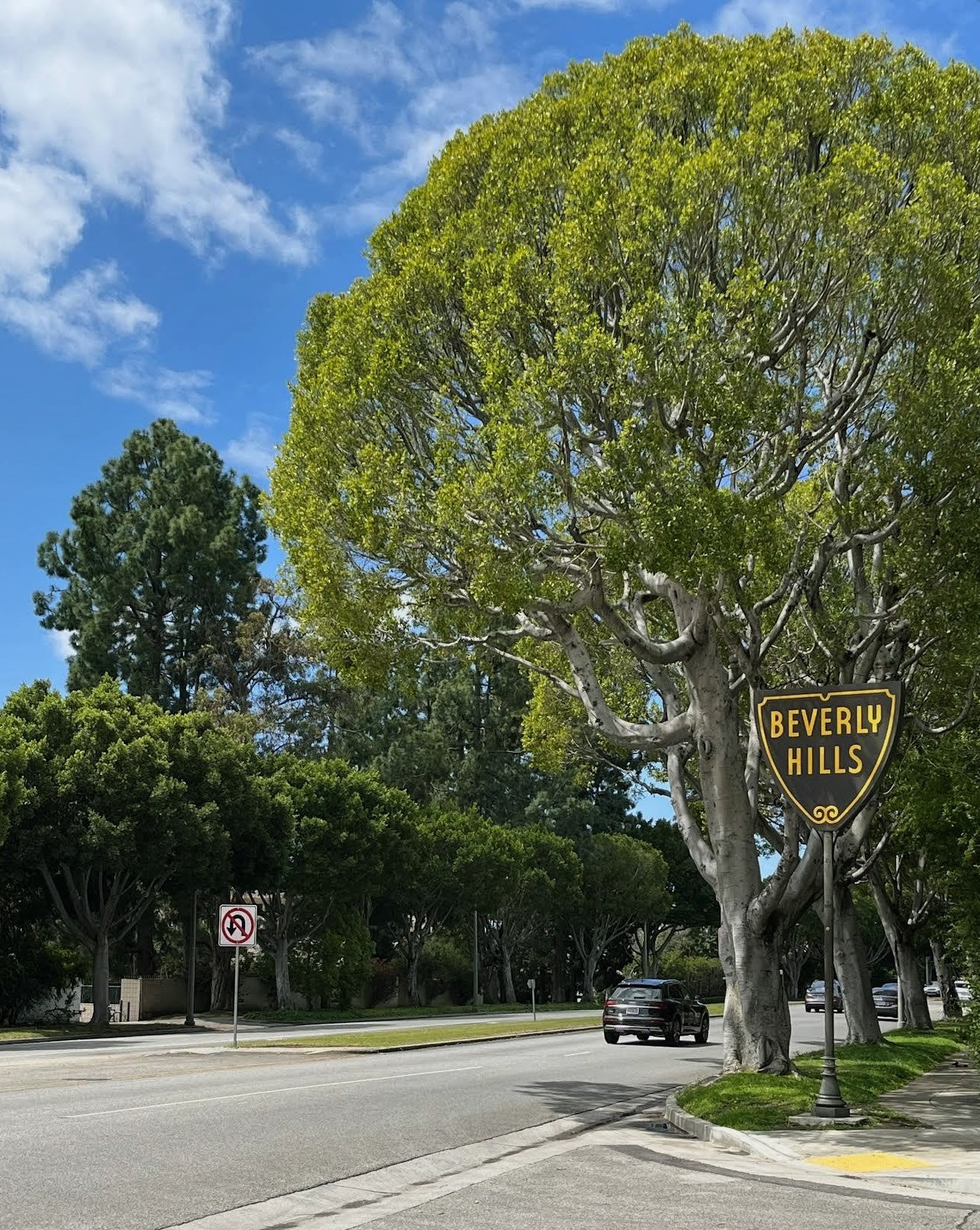 Beverly Hills sign on Hollywood bus tour