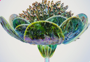 How to Create an AI Fragrance