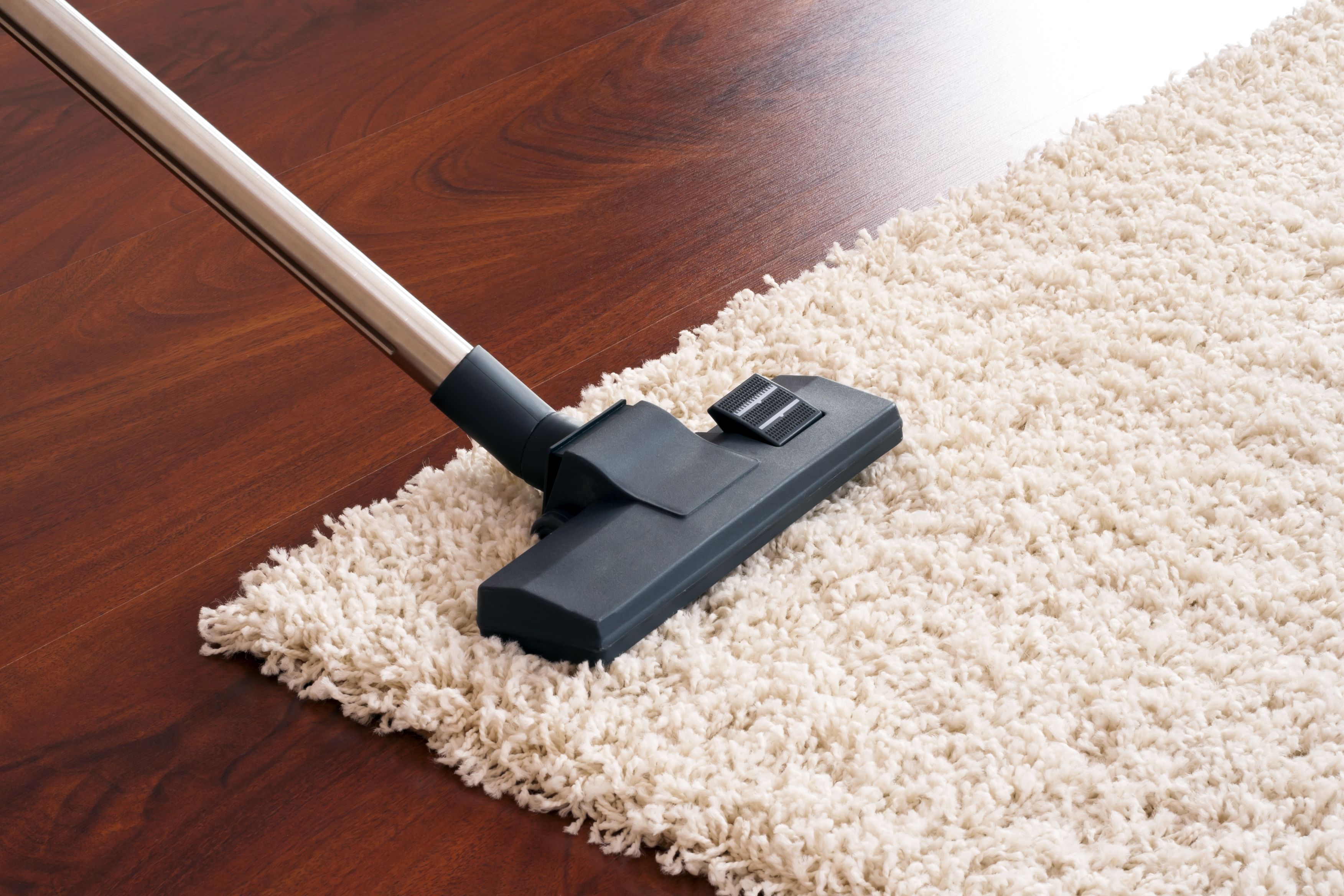 Xpress Carpet