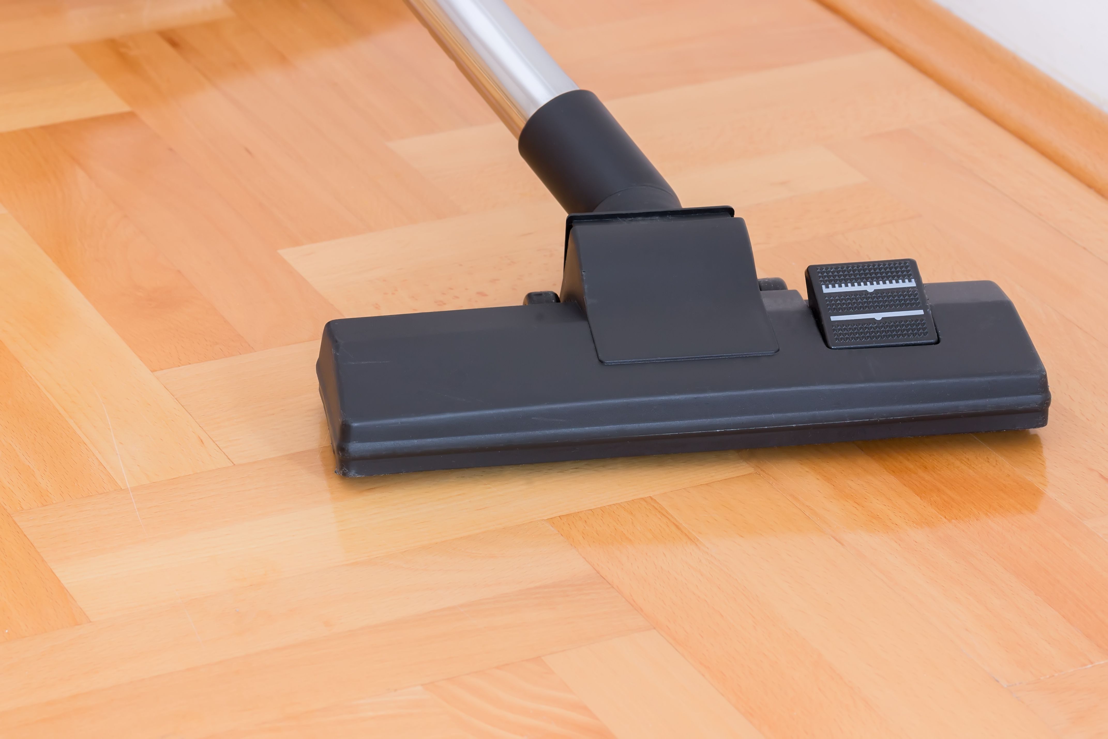 Xpress Carpet