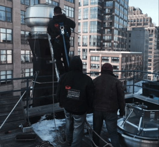 professional cleaning services