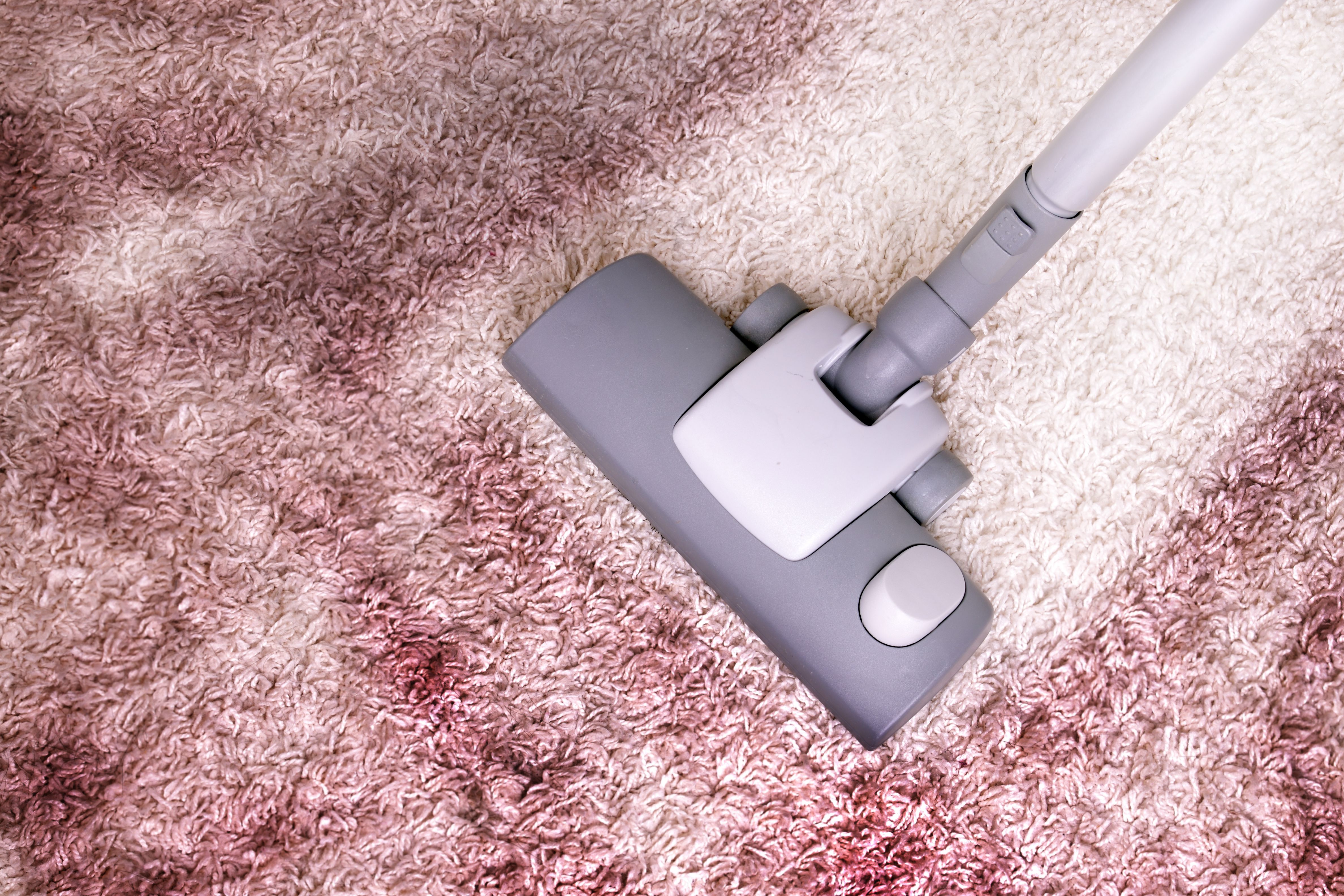 Xpress Carpet
