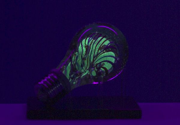 Light Build Incandescent Artwork