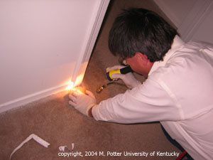 Controlling Infestations