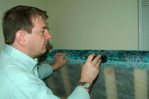 Eliminating bed bugs