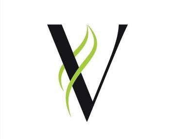 V Logo