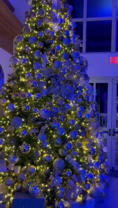 DSV Holiday Party Video 4