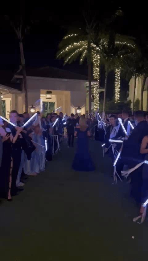 The Llorca's Wedding video 5