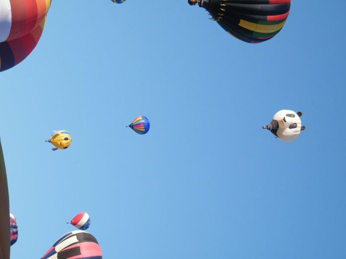  Arizona Balloon Safaris