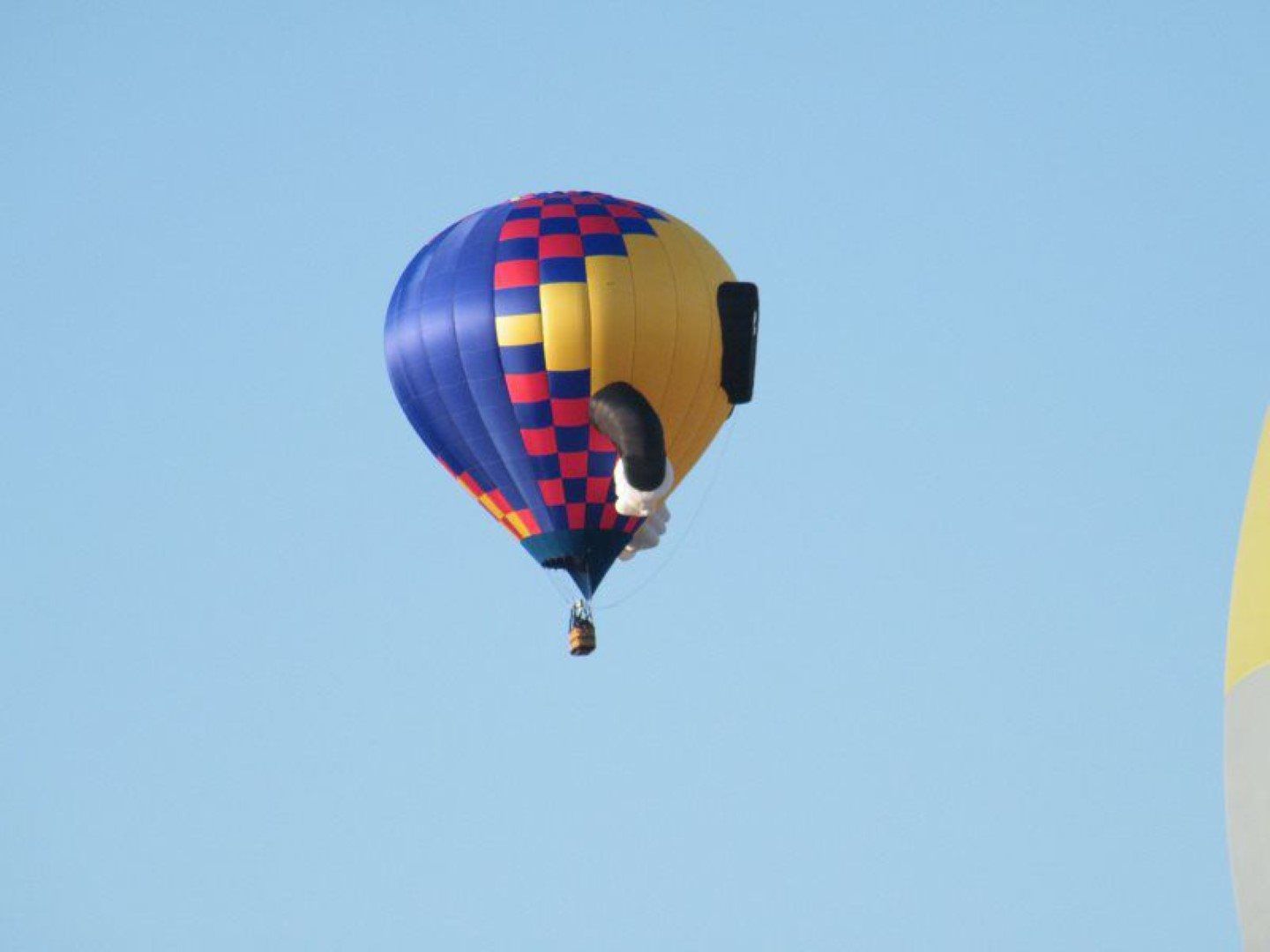  Arizona Balloon Safaris