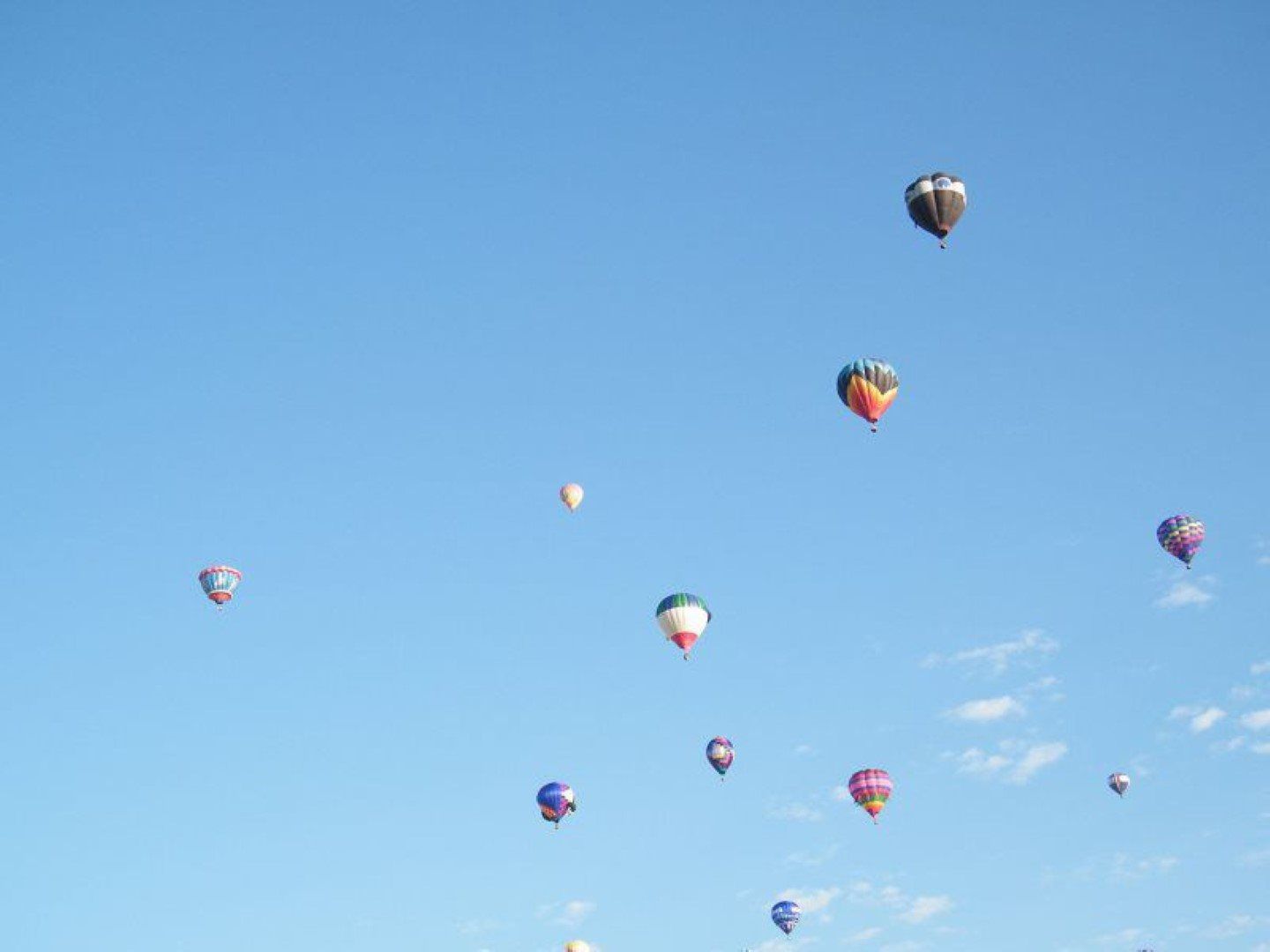  Arizona Balloon Safaris
