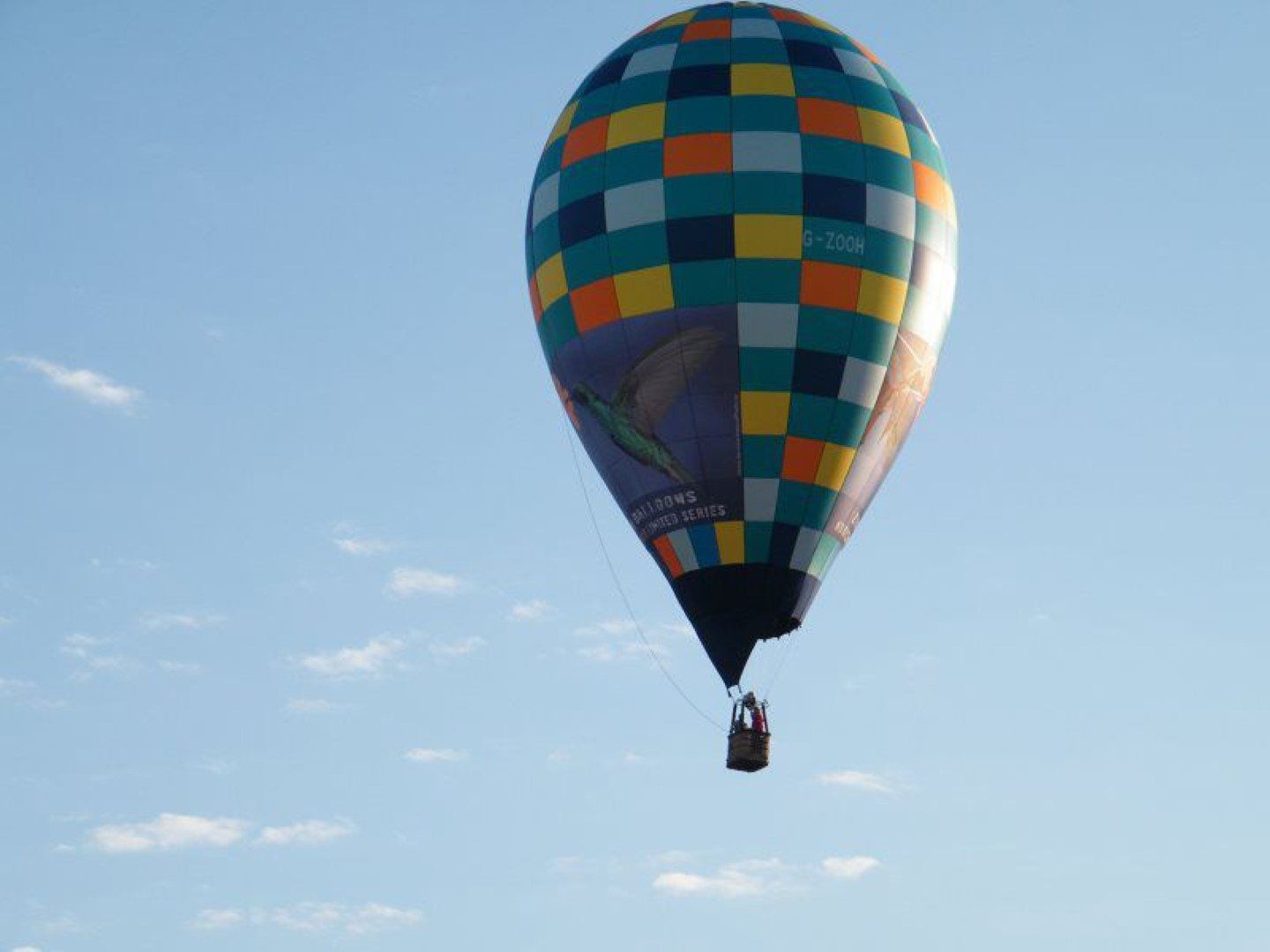  Arizona Balloon Safaris