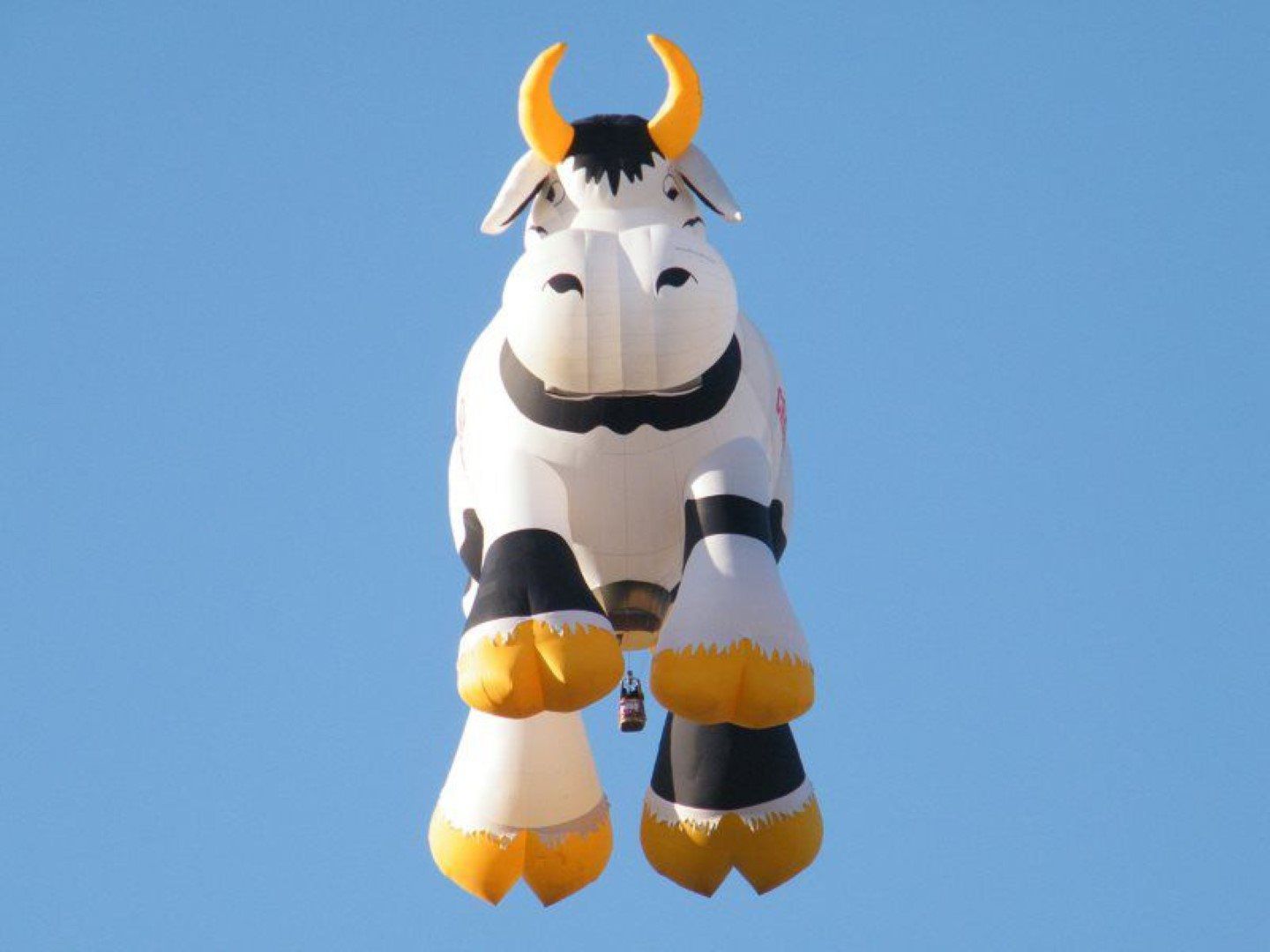  Arizona Balloon Safaris