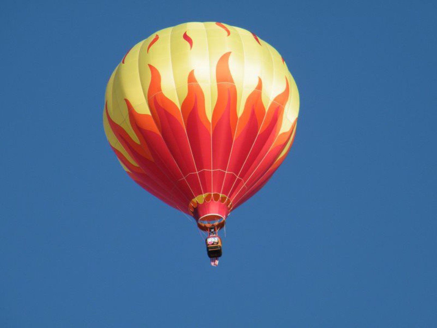  Arizona Balloon Safaris