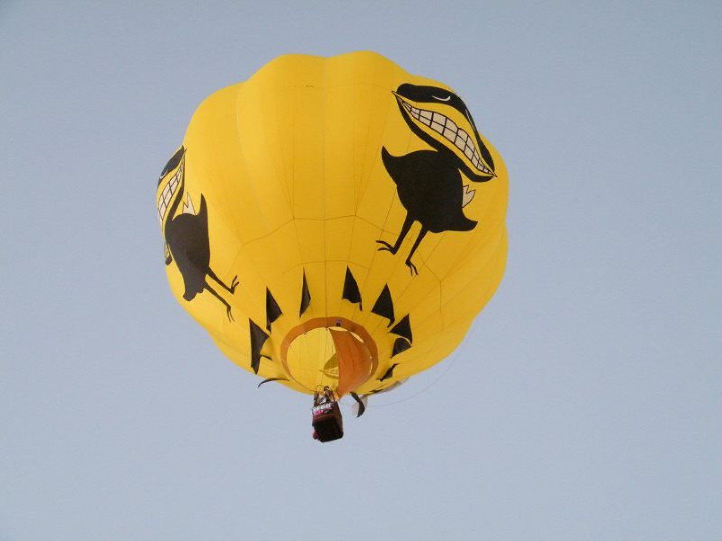  Arizona Balloon Safaris