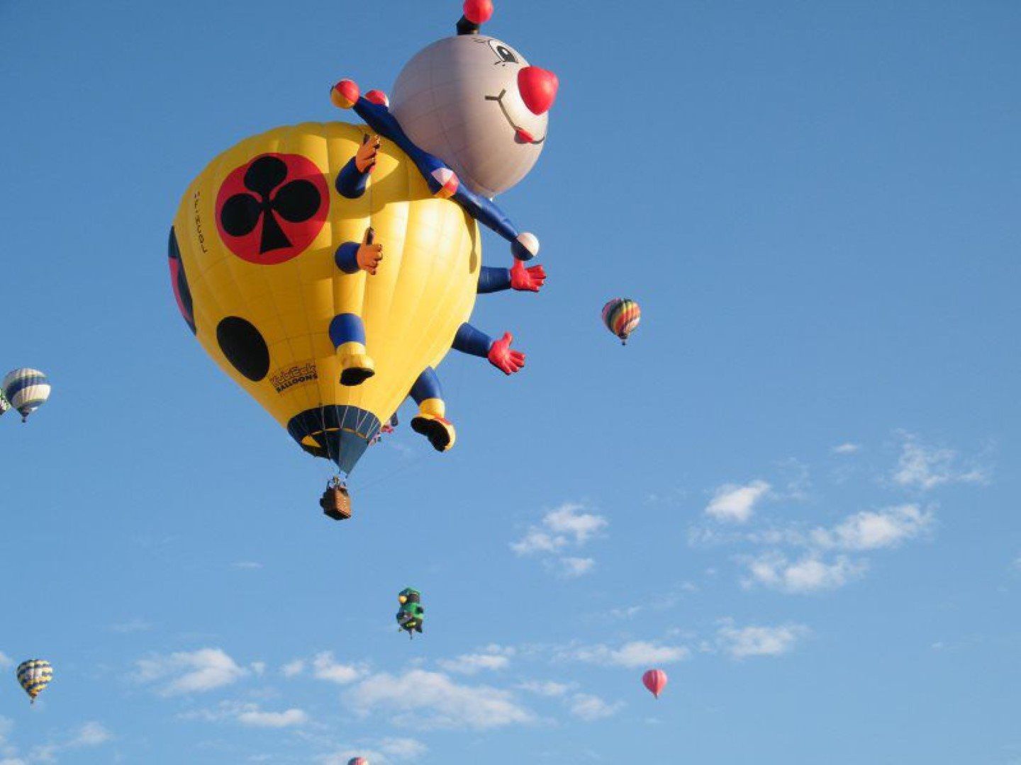  Arizona Balloon Safaris