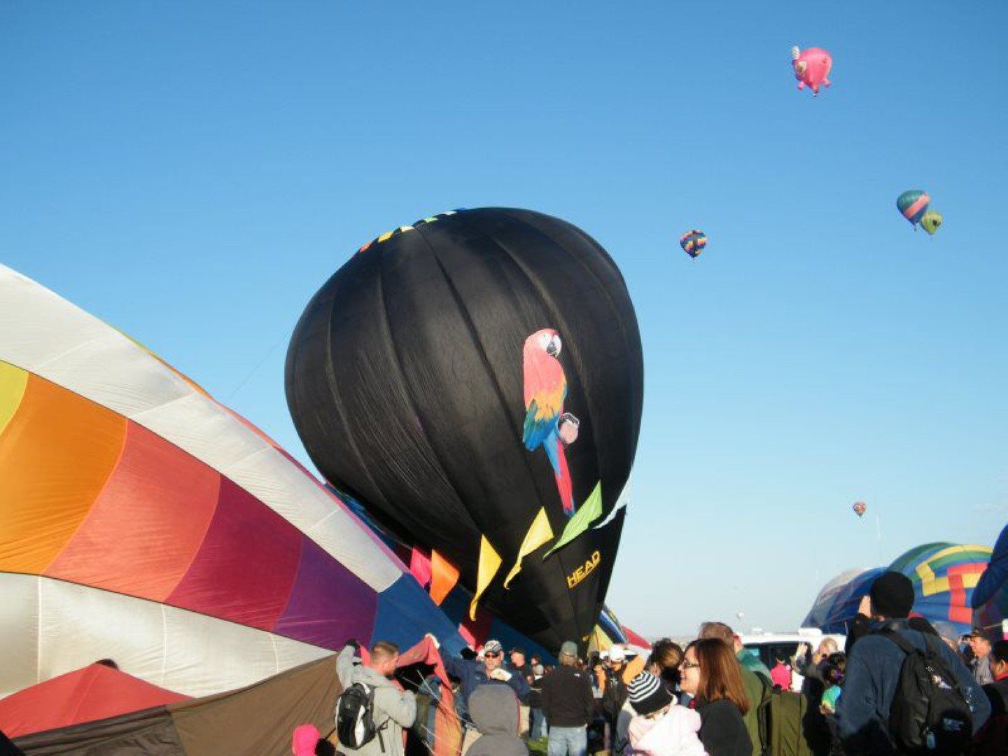  Arizona Balloon Safaris